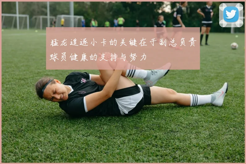 猛龙追逐小卡的关键在于副总负责球员健康的支持与努力
