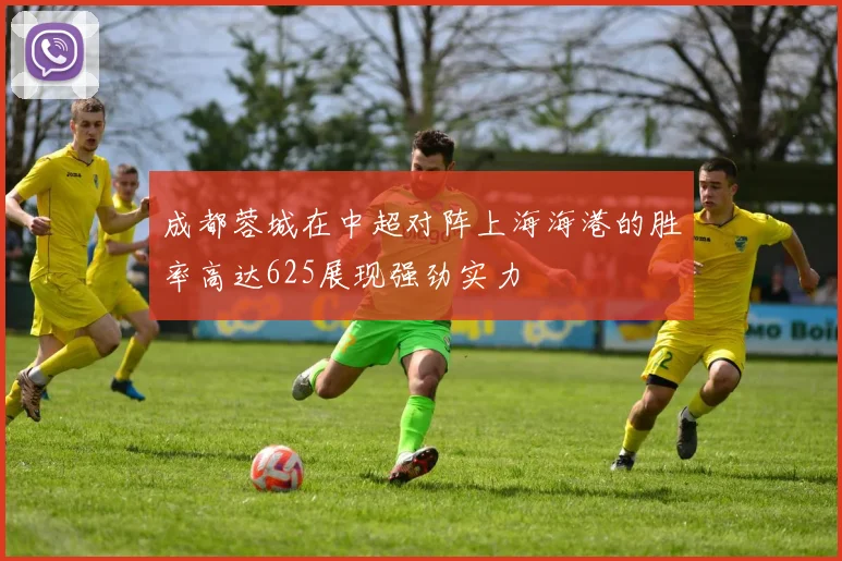 成都蓉城在中超对阵上海海港的胜率高达625展现强劲实力